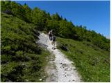 Križovec - Belska planina (Svečica)